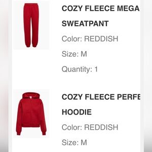 Aritzia Cozy Fleece Mega Sweatpant and Hoodie- Reddish.